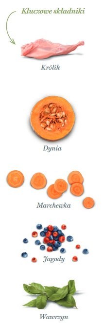 Amanova Dog Adult Mini Digestive Divine Rabbit - królik 2kg