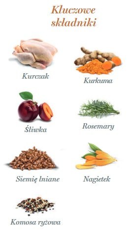 Amanova Dog Adult Exquisite Chicken - kurczak saszetka 300g [P03]