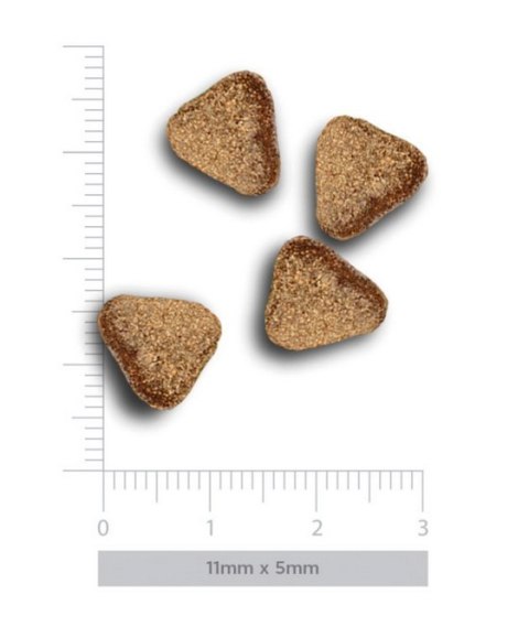 Amanova Dog Adult Mini Digestive Divine Rabbit - królik 7kg