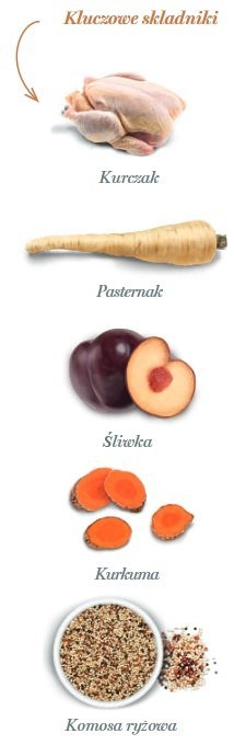 Amanova Cat Adult Exquisite Chicken - kurczak 6kg