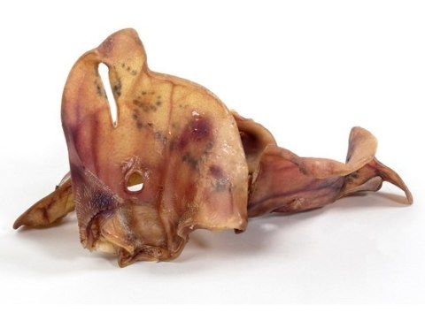 Bult Wędzone ucho wieprzowe 10szt