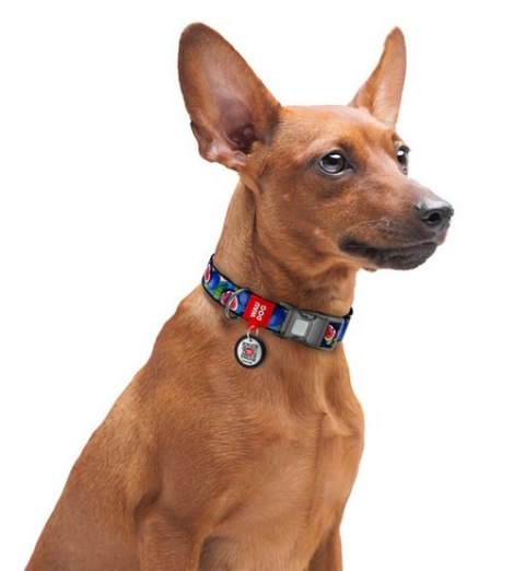 Collar WauDog Nylon Obroża nylonowa z QR-paszportem, plastikowy fastex, wzór FIGA, M 20mm/28-40cm