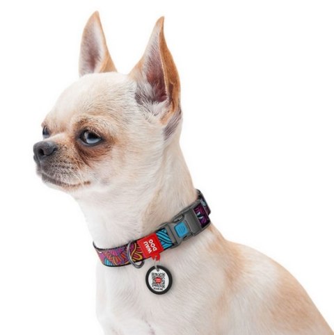 Collar WauDog Nylon Obroża nylonowa z QR-paszportem, plastikowy fastex, wzór LATO, 25mm/37-58cm