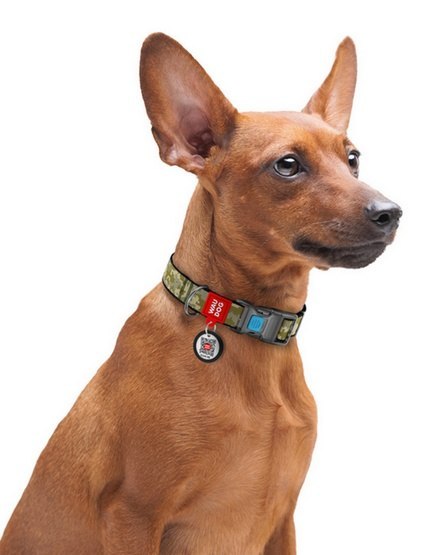 Collar WauDog Nylon Obroża nylonowa z QR-paszportem, plastikowy fastex, wzór MILITARY, S 15mm/25-35cm