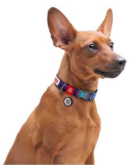 Collar WauDog Nylon Obroża nylonowa z QR-paszportem, plastikowy fastex, wzór NASA21, 15mm/25-35cm