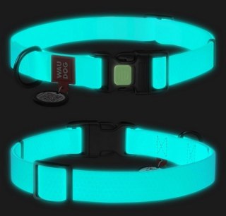 Collar WauDog Waterproof Obroża wodoodporna z QR-paszportem, akumulująca światło, plastikowy fastex, 25mm/34-49cm