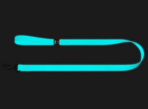 Collar WauDog Waterproof Smycz wodoodporna akumulująca światło M 20mm/183cm