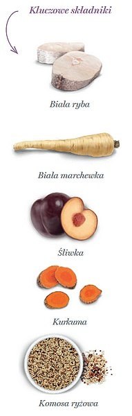 Amanova Dog Adult Mobility Fish Delicacy - biała ryba 10kg