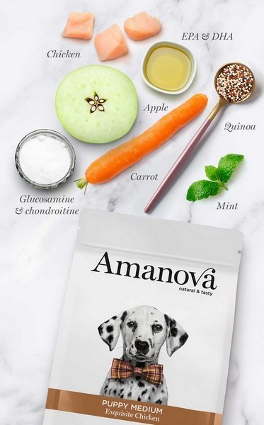 Amanova Dog Puppy Medium Exquisite Chicken - kurczak 12kg