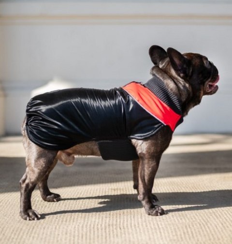 Chaba Ubranko regulowane Wear Magnifique XS czerwone