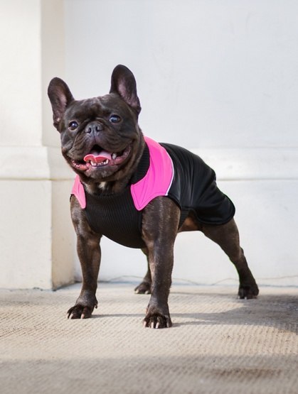 Chaba Ubranko regulowane Wear Magnifique S różowe