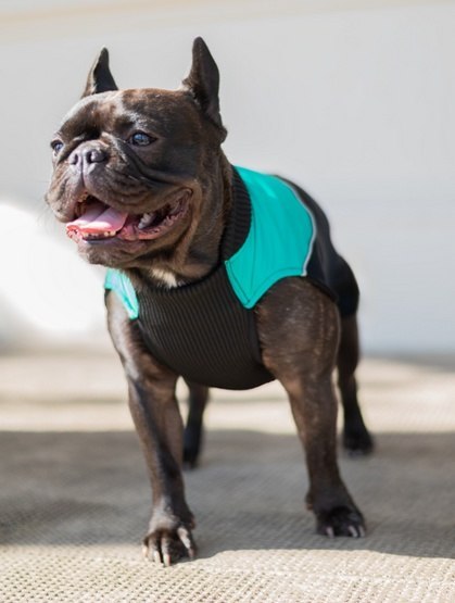 Chaba Ubranko regulowane Wear Magnifique XS zielone