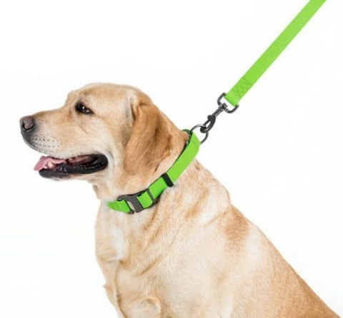 Collar Waterproof Smycz wodoodporna L-XXL 25mm/183cm jasnozielona