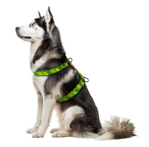 Collar WauDog Nylon Szelki nylonowe anatomiczne w kształcie litery H, z QR-paszportem, plastikowy fastex, wzór AWOKADO, rozmiar 
