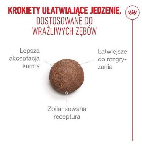Royal Canin Ageing +15 karma sucha dla kotów dojrzałych 400g