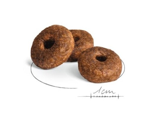 Royal Canin Medium Ageing 10+ karma sucha dla psów starszych, ras średnich 15kg