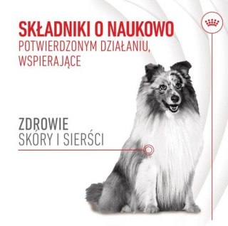 Royal Canin Skin & Coat Chews Adult Supplements 240g