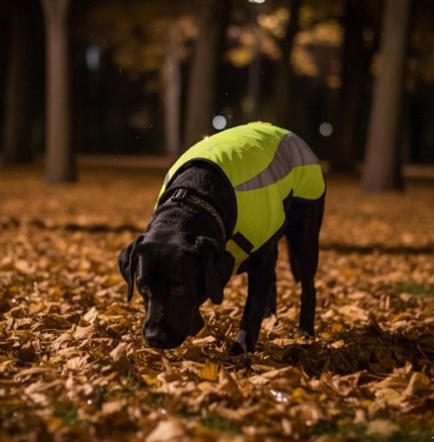 Zolux Kamizelka odblaskowa R.35 żółta