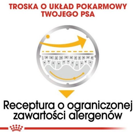 Royal Canin Dermacomfort Loaf karma mokra - pasztet, dla psów dorosłych wszystkich ras saszetka 85g