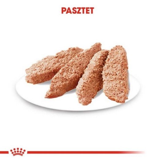 Royal Canin Dermacomfort Loaf karma mokra - pasztet, dla psów dorosłych wszystkich ras saszetka 85g