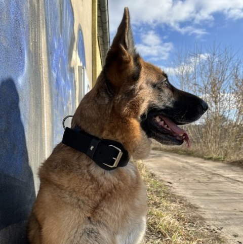 Dingo Obroża specjalna z taśmy 4,0x55-65cm czarna