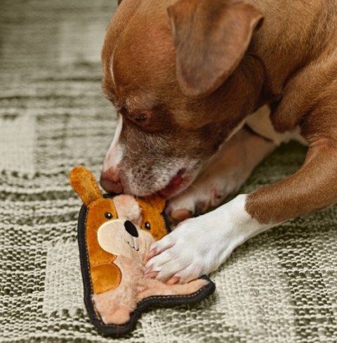 Outward Hound Invincibles Minis Waleczny szczeniaczek 67807