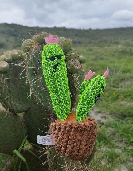 Dingo Zabawka dla psa - Kaktus Familia 20cm