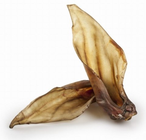 Balto Ucho jelenia 1szt