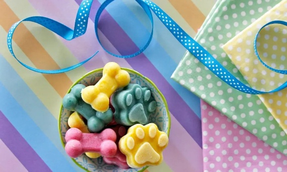 Przysmaki dla psa – jak wybierać mądrze i bezpiecznie?