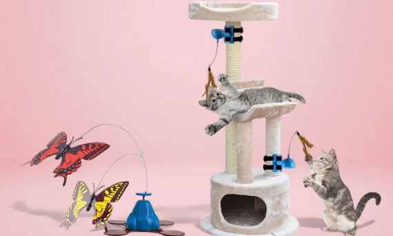 Zabawki dla kota – jakie wybrać, by kot się nie nudził? Kompletny poradnik dla opiekunów