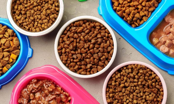 Jak czytać skład karmy dla psa i nie dać się marketingowi